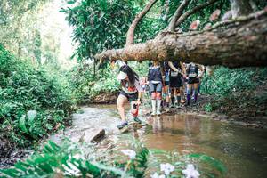 BIB: 
                            <button type="button" onclick="openModal(25514781)" class="btn btn-primary btn-sm float-right btn-popup" data-toggle="modal" data-target=".modal-high-quality">
                        <i class="fas fa-shopping-cart"></i> Add to Cart
                    </button>
                                            <button type="button" onclick="isThisMe(25514781, true)" class="btn btn-success btn-sm float-right btn-popup btn-isme hidden" data-toggle="tooltip" data-placement="bottom" title="นี่คือรูปของคุณใช่ไหม คลิกที่นี่เพื่อเอาเข้าอัลบั้ม">
                        <i class="fas fa-plus"></i> Add to album
                    </button>
                    <button type="button" onclick="isThisMe(25514781, false)" class="btn btn-warning btn-sm float-right btn-popup btn-isnotme hidden">
                        <i class="fas fa-ban"></i> Remove from album
                    </button>